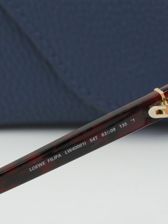 Loewe LW40001I 54T Filipa Square Sunglasses – Red Havana/Rose Havana\\ Bordeaux main image 6